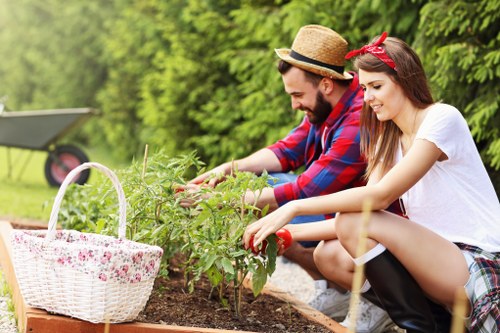 Hedge cutting service for a residential property in Poplar