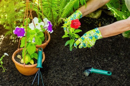 Local hedge maintenance for a compact urban garden