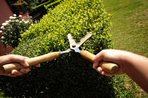 Charity partnership reusing timber and logs from tree work