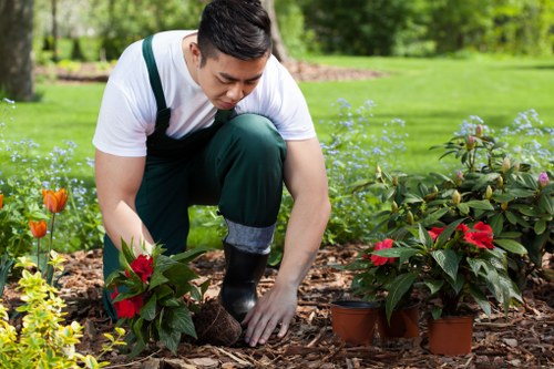 Keyboard and screen-reader friendly tree surgery content